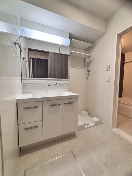 パサログランデ鳳西町(洗面台・洗面所)