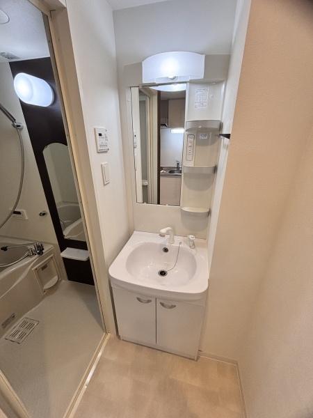 フォレストインサイド鳳(洗面台・洗面所)