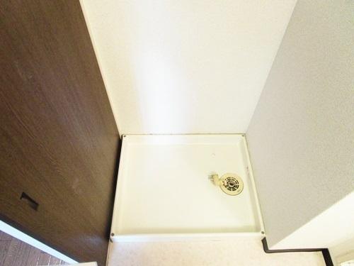 コートグレース