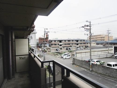 コートグレース