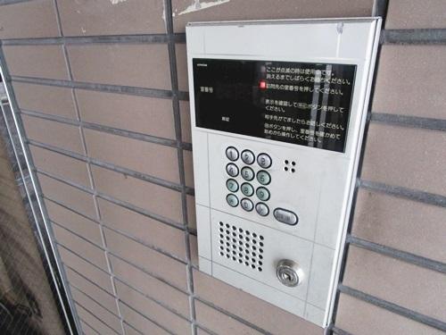 コートグレース