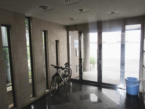 コートグレース