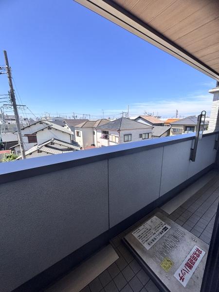 ｓｈａｍａｉｓｏｎ　ＡＧＵＲＵ