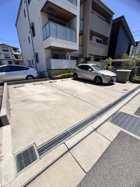 ｓｈａｍａｉｓｏｎ　ＡＧＵＲＵ