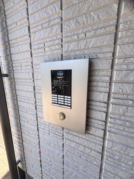 ｓｈａｍａｉｓｏｎ　ＡＧＵＲＵ