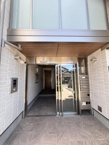 ｓｈａｍａｉｓｏｎ　ＡＧＵＲＵ