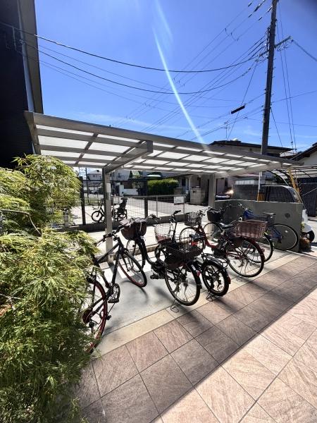 ｓｈａｍａｉｓｏｎ　ＡＧＵＲＵ