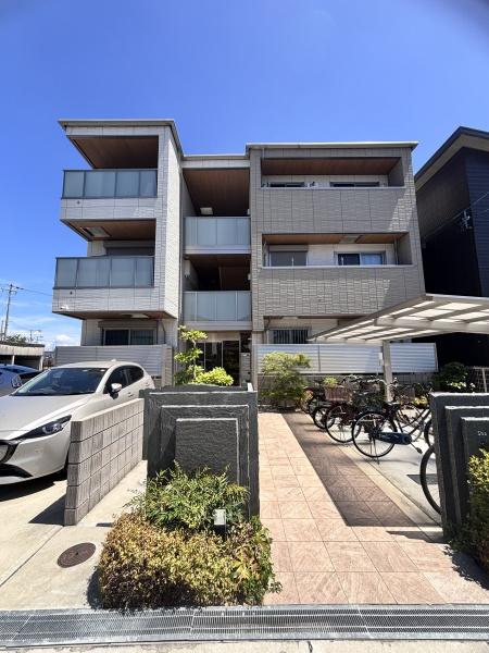 ｓｈａｍａｉｓｏｎ　ＡＧＵＲＵ