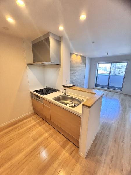 ｓｈａｍａｉｓｏｎ　ＡＧＵＲＵ