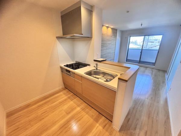 ｓｈａｍａｉｓｏｎ　ＡＧＵＲＵ