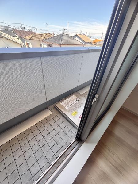 ｓｈａｍａｉｓｏｎ　ＡＧＵＲＵ