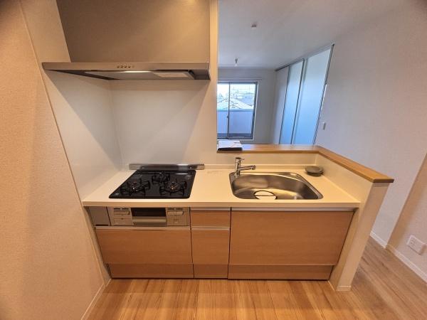 ｓｈａｍａｉｓｏｎ　ＡＧＵＲＵ