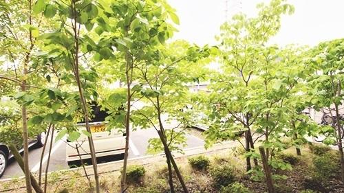 フジパレス鳳西