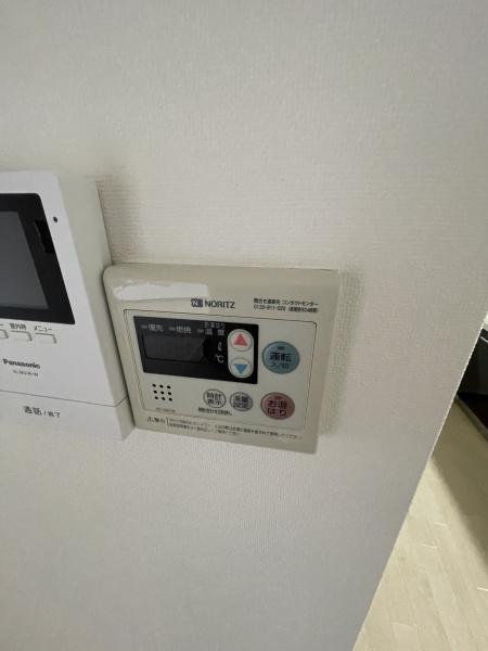 パラディアンフレール
