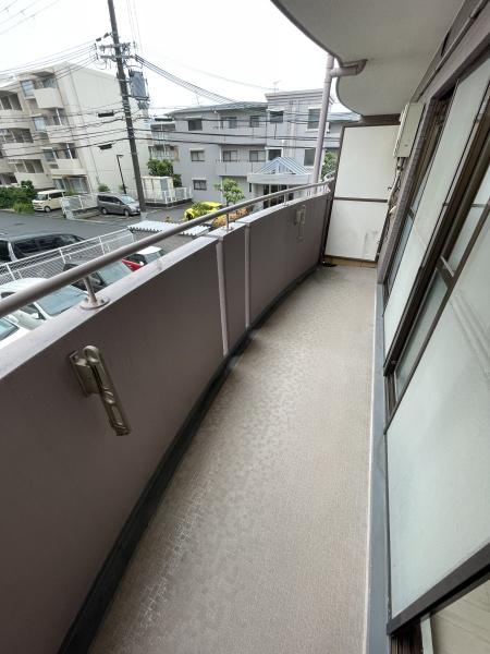 パラディアンフレール