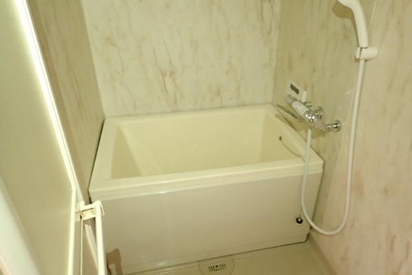 龍の樹マンション