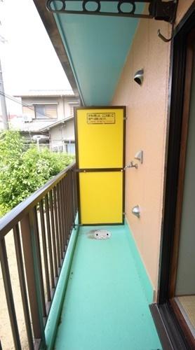 ヌベールマツイ