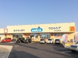 スカイコート津久野(ウエルシア堺上野芝店)