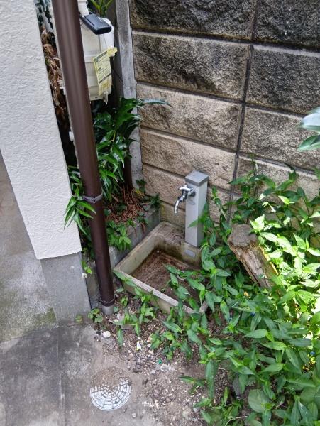練馬区西大泉５丁目の貸家