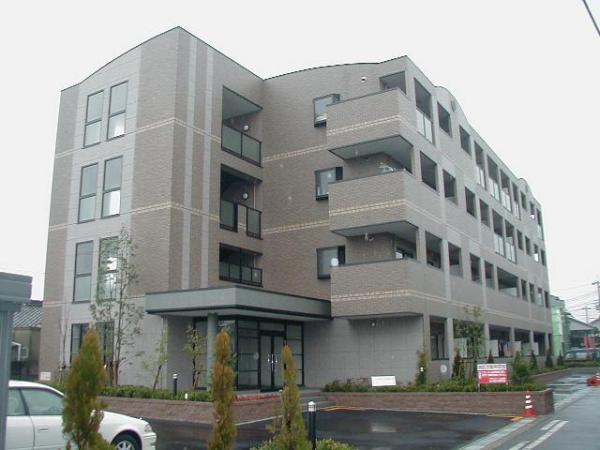 ブランドール板原