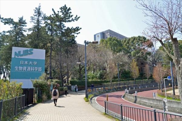 リバティ湘南(日本大学　生物資源科学部)