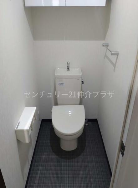 ヴィルドミール