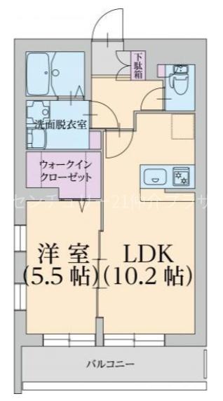 アンフィル湘南