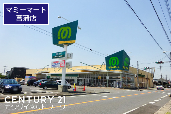 長谷川貸家(マミーマート菖蒲店)