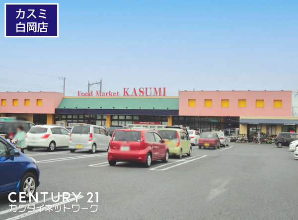 白岡市西3丁目の貸家(カスミ白岡店)