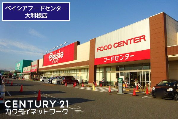 南栗橋貸家(ベイシアフードセンター大利根店)