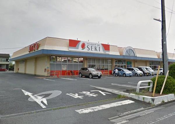 日新花崎ビレッジC(ドラッグストアセキ花崎店)