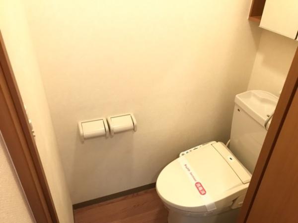 サザン　ウインド