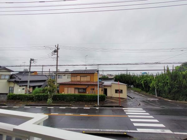 シオン花咲