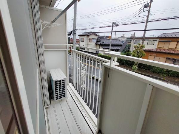 シオン花咲