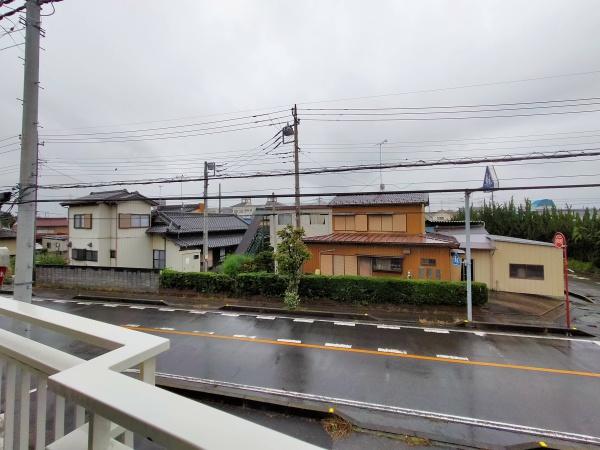 シオン花咲