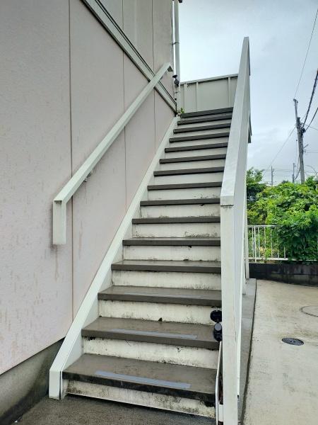 シオン花咲