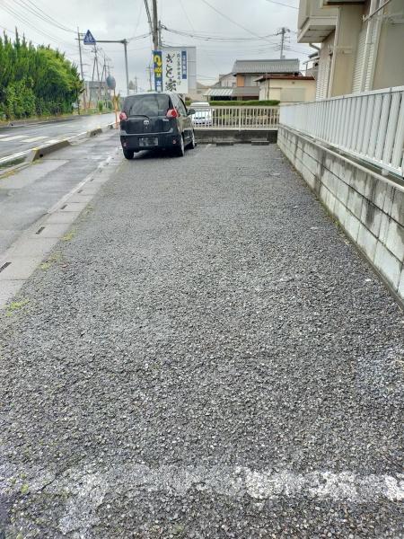 シオン花咲