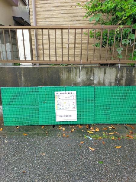 シオン花咲
