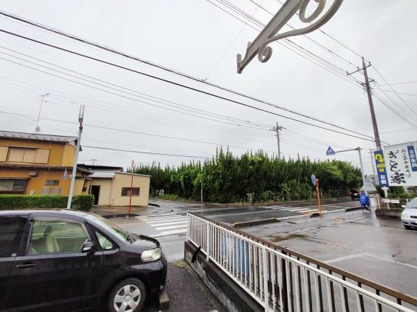シオン花咲