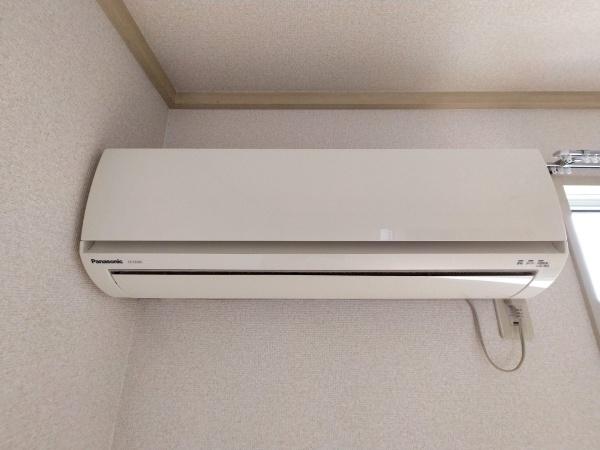 シオン花咲300