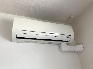 パルムロジェ
