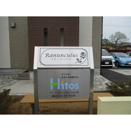 Ranunclus