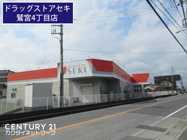 松本様貸家(ドラッグストアセキ鷲宮店)