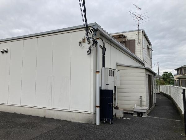 OKP菖蒲(その他)