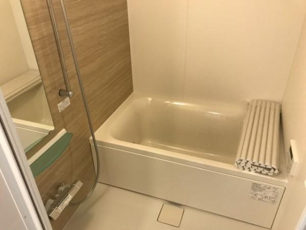 カリーノ花