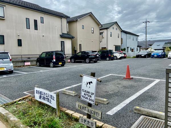ヴァンニーシュ