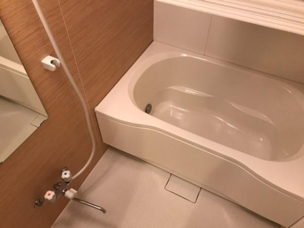 プラムリンデン(バス)