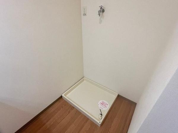 ティー・エム・ラドゥール(その他)