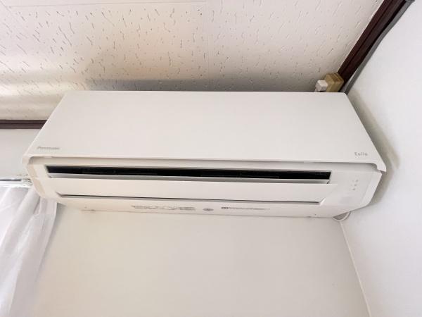 春と風のルピシア