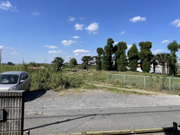 春と風のルピシア